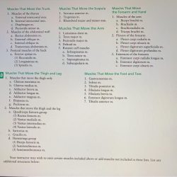 Table 10.2 model inventory for skeletal muscles